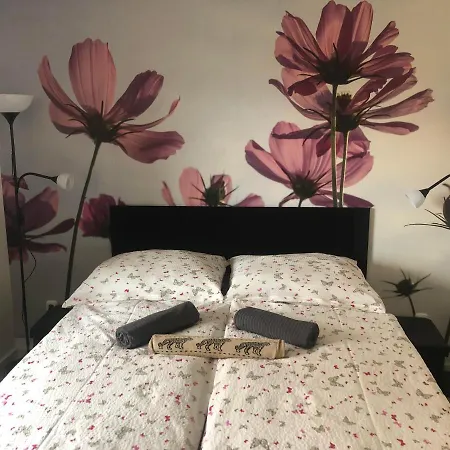 Szabo Vendeghaz * Zamárdi